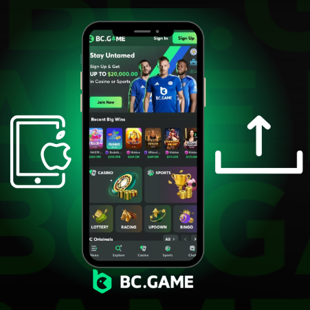 Unveiling the World of Online Gaming with Bc.Game